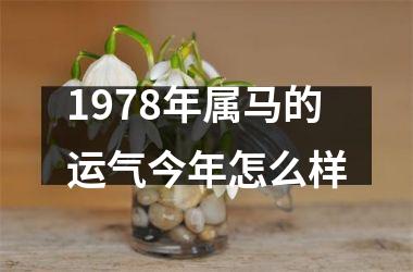 1978年属马的运气今年怎么样