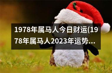 1978年属马人今日财运(1978年属马人2023年运势运程)