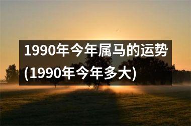 1990年今年属马的运势(1990年今年多大)