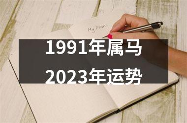 1991年属马2023年运势