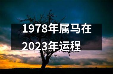 1978年属马在2023年运程