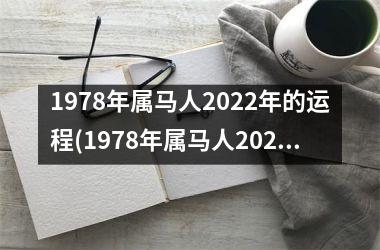 1978年属马人2022年的运程(1978年属马人2022年运势运程)