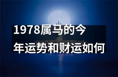 1978属马的今年运势和财运如何