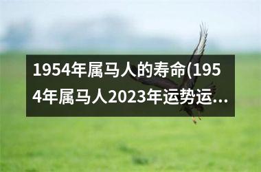 1954年属马人的寿命(1954年属马人2023年运势运程)