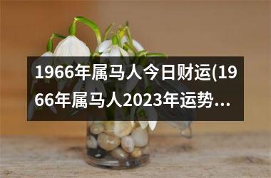 <h3>1966年属马人今日财运(1966年属马人2025年运势男性)