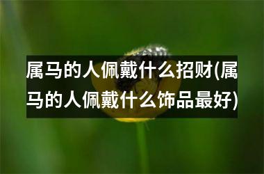 属马的人佩戴什么招财(属马的人佩戴什么饰品好)