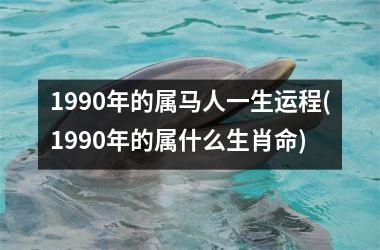 <h3>1990年的属马人一生运程(1990年的属什么生肖命)