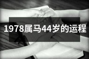 1978属马44岁的运程