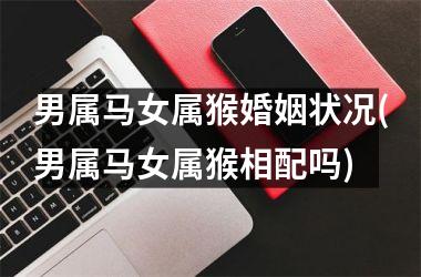 男属马女属猴婚姻状况(男属马女属猴相配吗)