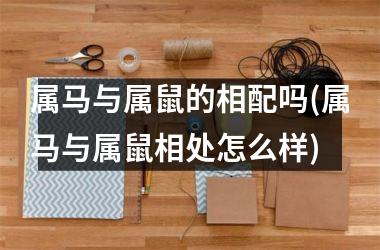 属马与属鼠的相配吗(属马与属鼠相处怎么样)