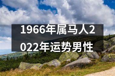 1966年属马人2025年运势男性
