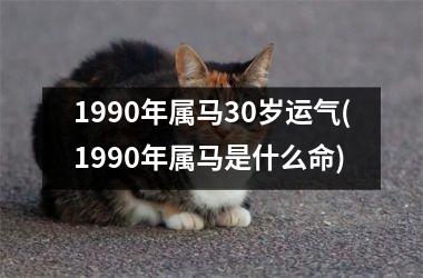 1990年属马30岁运气(1990年属马是什么命)