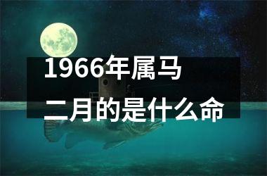 <h3>1966年属马二月的是什么命