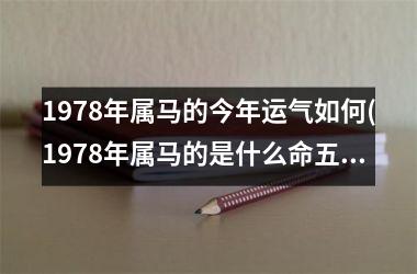 1978年属马的今年运气如何(1978年属马的是什么命五行属什么)