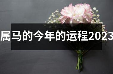 属马的今年的运程2025