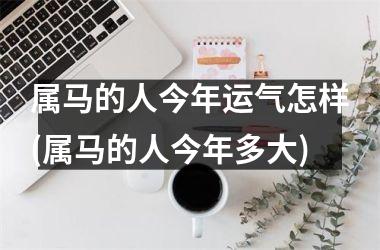 属马的人今年运气怎样(属马的人今年多大)