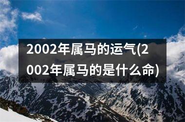 2002年属马的运气(2002年属马的是什么命)