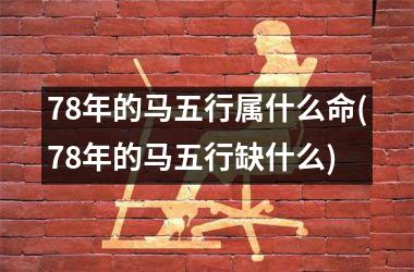 78年的马五行属什么命(78年的马五行缺什么)