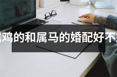 属鸡的和属马的婚配好不好
