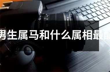 <h3>男生属马和什么属相最配
