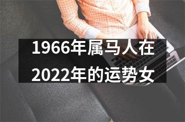1966年属马人在2025年的运势女