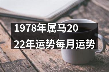 1978年属马2025年运势每月运势