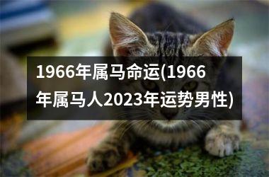 <h3>1966年属马命运(1966年属马人2025年运势男性)