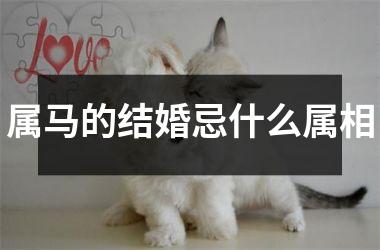 <h3>属马的结婚忌什么属相