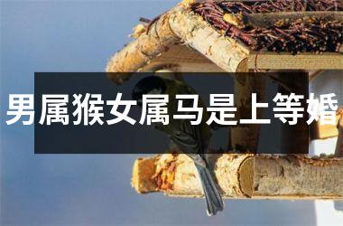 男属猴女属马是上等婚