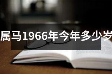 属马1966年今年多少岁