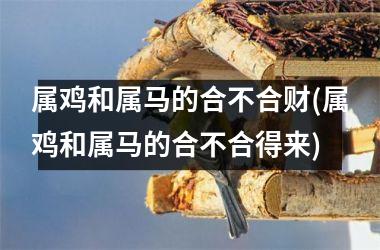 属鸡和属马的合不合财(属鸡和属马的合不合得来)