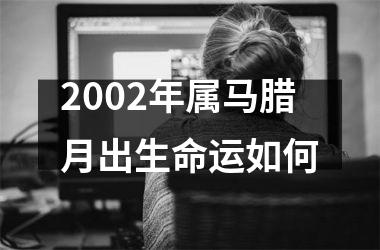 2002年属马腊月出生命运如何