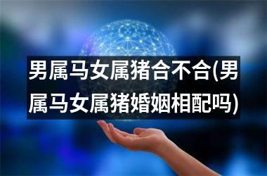 男属马女属猪合不合(男属马女属猪婚姻相配吗)
