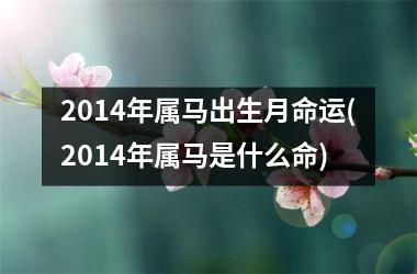 2014年属马出生月命运(2014年属马是什么命)