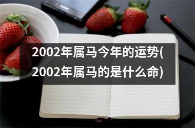 2002年属马今年的运势(2002年属马的是什么命)