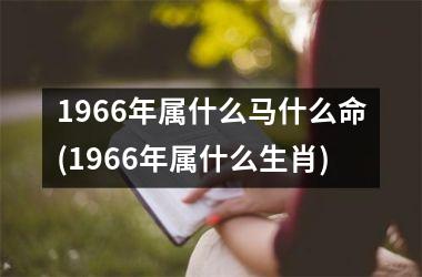 1966年属什么马什么命(1966年属什么生肖)