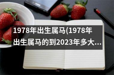 1978年出生属马(1978年出生属马的到2023年多大)