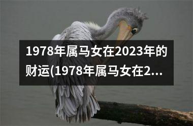 1978年属马女在2025年的财运(1978年属马女在2025年的命运如何)