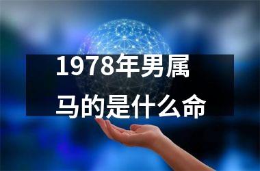 <h3>1978年男属马的是什么命
