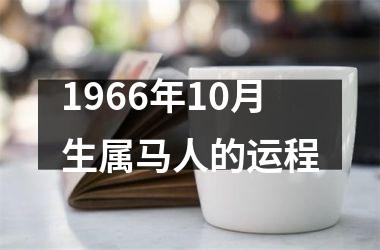 1966年10月生属马人的运程