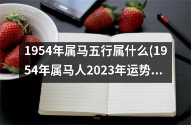 1954年属马五行属什么(1954年属马人2023年运势运程)