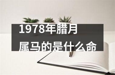 1978年腊月属马的是什么命