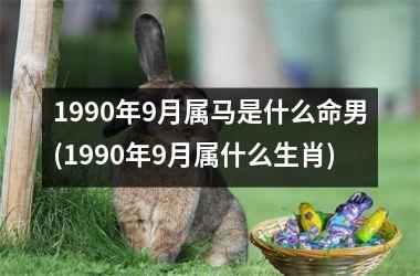 1990年9月属马是什么命男(1990年9月属什么生肖)