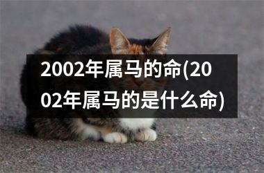 2002年属马的命(2002年属马的是什么命)