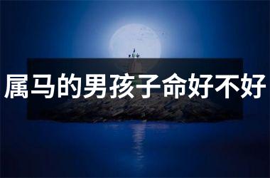 属马的男孩子命好不好