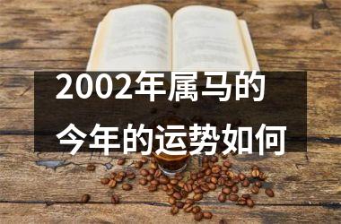 2002年属马的今年的运势如何