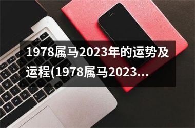 1978属马2025年的运势及运程(1978属马2025年运势及运程详解)