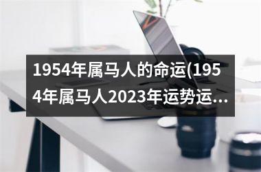 1954年属马人的命运(1954年属马人2023年运势运程)