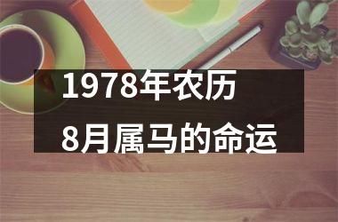 1978年农历8月属马的命运