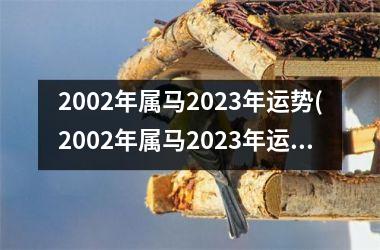 2002年属马2023年运势(2002年属马2023年运势及运程详解)